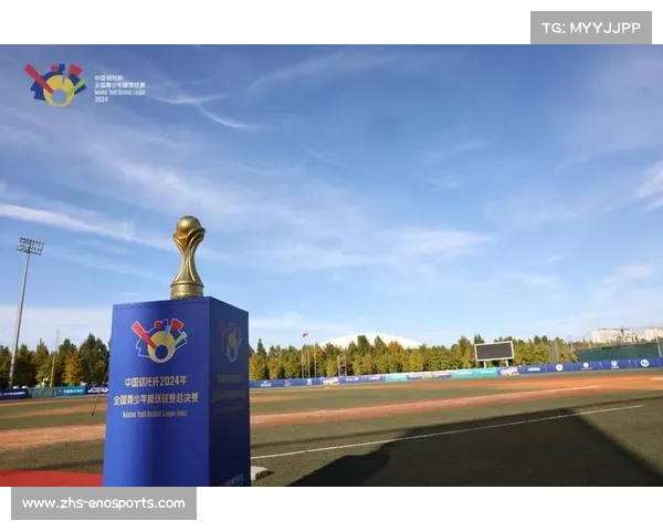 中国棒球联赛总决赛今日开战 上海华信与江苏钜马争夺冠军荣耀